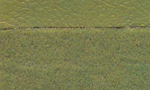 Crushed-Velours Schilf