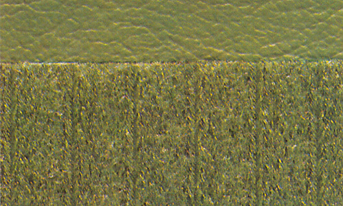 Streifen-Velours Schilf