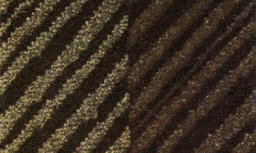 Zebra-Streifen-Velours Negro